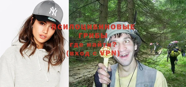 шишки Балабаново