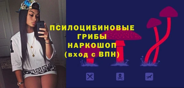 шишки Балабаново