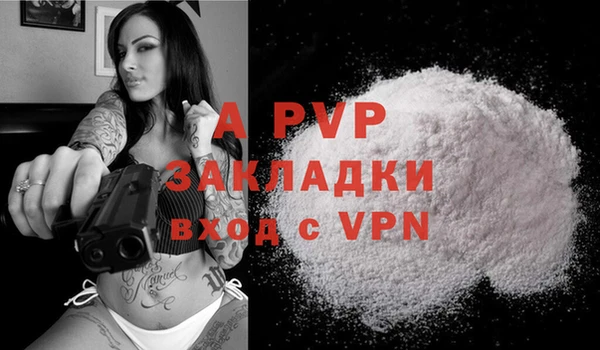 шишки Балабаново