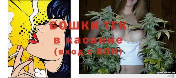 ПСИЛОЦИБИНОВЫЕ ГРИБЫ Баксан