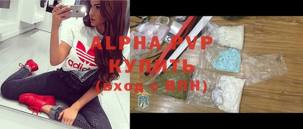 спиды Новозыбков